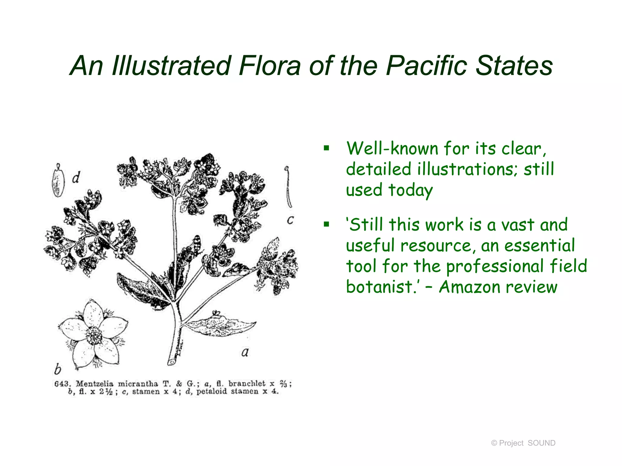 An Illustrated Flora of the Pacific States
© Project SOUND
 Well-known for its clear,
detailed illustrations; still
used today
 ‘Still this work is a vast and
useful resource, an essential
tool for the professional field
botanist.’ – Amazon review
 