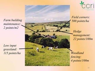 Farm building
maintenance:
2 points/m2

Field corners:
500 points/ha
Hedge
management:
22 points/100m

Low input
grassland:
115 points/ha

Woodland
fencing:
4 points/100m
20

 