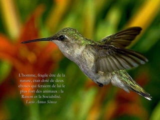 L’homme, fragile être de la nature, était doté de deux choses qui feraient de lui le plus fort des animaux : la Raison et la Sociabilité.  Lucio Anneo Séneca   