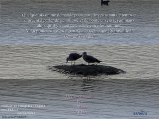 Quelquefois on me demande pourquoi j’investis tant de temps et d’argent à parler de gentillesse et de bonté envers les animaux alors qu’il y a tant de cruauté entre les hommes. Ma réponse est : c’est à partir de la racine que j’y travaille !! George T. Angell Hecho en Cádiz  Por I. Maria LARISA 28/06/11 traduit de l’anglais : ingrid troubadour 19/02/2011 