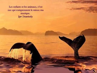 Les enfants et les animaux, c’est eux qui comprennent le mieux ma musique.   Igor Strawinsky  