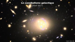 Crédit : NASA, ESA
Le cannibalisme galactique
(Abell 3627)
 