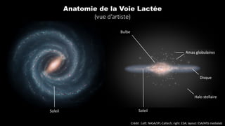 Crédit : Left: NASA/JPL-Caltech; right: ESA; layout: ESA/ATG medialab
Anatomie de la Voie Lactée
(vue d’artiste)
Soleil Soleil
Bulbe
Disque
Halo stellaire
Amas globulaires
 