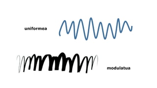 uniformea 
modulatua  