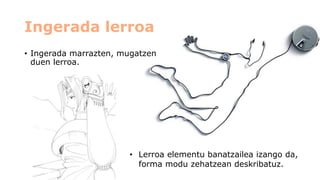 Ingerada lerroa 
•Ingerada marrazten, mugatzen duen lerroa. 
•Lerroa elementu banatzailea izango da, forma modu zehatzean deskribatuz.  