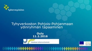 Tyhyverkoston Pohjois-Pohjanmaan
ydinryhmän tapaaminen
Oulu
11.2.2016
 