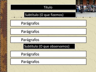 Título
Subtítulo (O que fizemos)

Parágrafos
Parágrafos
Parágrafos
Subtítulo (O que observamos)

Parágrafos
Parágrafos

 