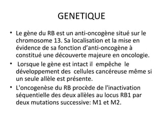 GENETIQUE
• Le gène du RB est un anti-oncogène situé sur le
chromosome 13. Sa localisation et la mise en
évidence de sa fonction d’anti-oncogène à
constitué une découverte majeure en oncologie.
• Lorsque le gène est intact il empêche le
développement des cellules cancéreuse même si
un seule allèle est présente.
• L'oncogenèse du RB procède de l'inactivation
séquentielle des deux allèles au locus RB1 par
deux mutations successive: M1 et M2.
 