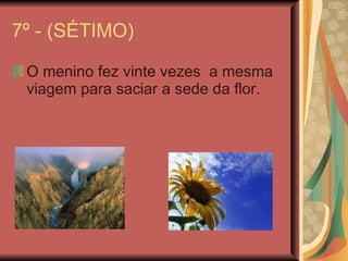 7º - (SÉTIMO) O menino fez vinte vezes  a mesma viagem para saciar a sede da flor. 