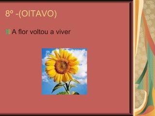 8º -(OITAVO) A flor voltou a viver 