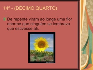 14º - (DÉCIMO QUARTO) De repente viram ao longe uma flor enorme que ninguém se lembrava que estivesse ali. 