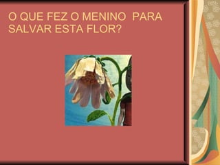 O QUE FEZ O MENINO  PARA  SALVAR ESTA FLOR? 