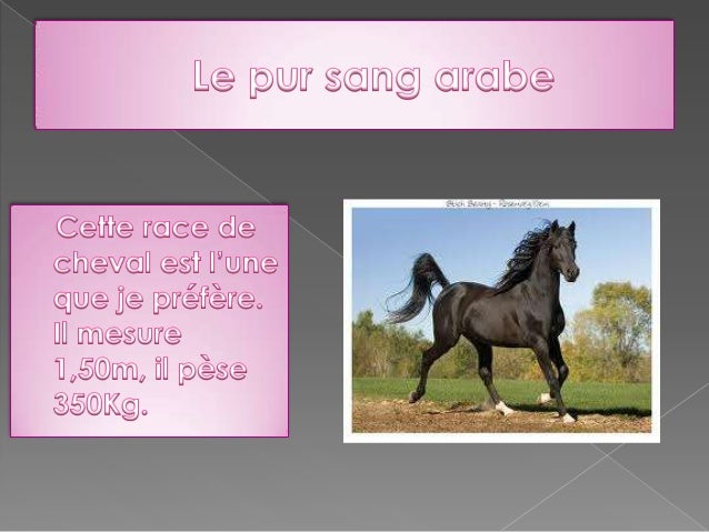 Exposé Sur Les Chevaux – Les animaux de la ferme : Le Cheval – KYPB