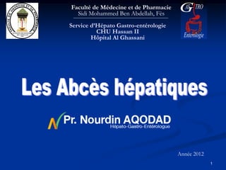 Faculté de Médecine et de Pharmacie
  Sidi Mohammed Ben Abdellah, Fès
Service d’Hépato Gastro-entérologie
          CHU Hassan II
        Hôpital Al Ghassani




                                      Année 2012
                                                   1
 
