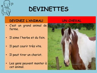DEVINETTES
DEVINEZ L’ANIMAL!
• C’est un grand animal de
ferme.
• Il aime l'herbe et du foin.
• Il peut courir très vite.
• Il peut tirer un chariot.
• Les gens peuvent monter à
cet animal.
UN CHEVAL
 