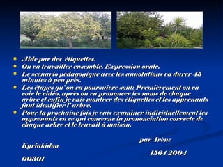 Aide par des  é tiquettes. On va travailler ensemble. Expression orale. Le scénario p é dagogique avec les annotations va durer 45 minutes à peu près. Les é tapes qu’ on va poursuivre sont: Premièrement on va voir le vid é o, apr ès on  va prononcer les noms de chaque arbre et enfin je vais montrer des  é tiquettes et les apprenants faut identifier l’ arbre. Pour la prochaine fois je vais examiner individuellement les apprenants en ce qui concerne la prononciation correcte de chaque arbre et le travail à maison.  par   Irène Kyr iakidou 1564 2004 00301 
