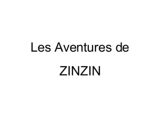 Les Aventures de ZINZIN 