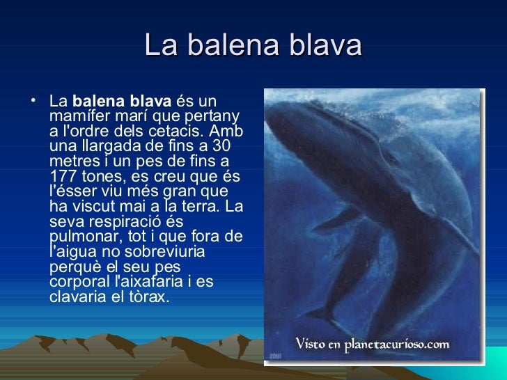 Les Balenes
