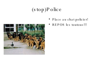 (stop)Police <ul><li>Place au chat policier! </li></ul><ul><li>REPOS les toutous!!! </li></ul>