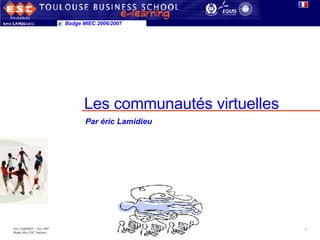 Les communautés virtuelles Badge MIEC 2006/2007 Par éric Lamidieu 