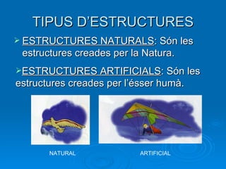 TIPUS D’ESTRUCTURES ESTRUCTURES NATURALS : Són les estructures creades per la Natura. ESTRUCTURES ARTIFICIALS : Són les estructures creades per l’ésser humà. NATURAL ARTIFICIAL 