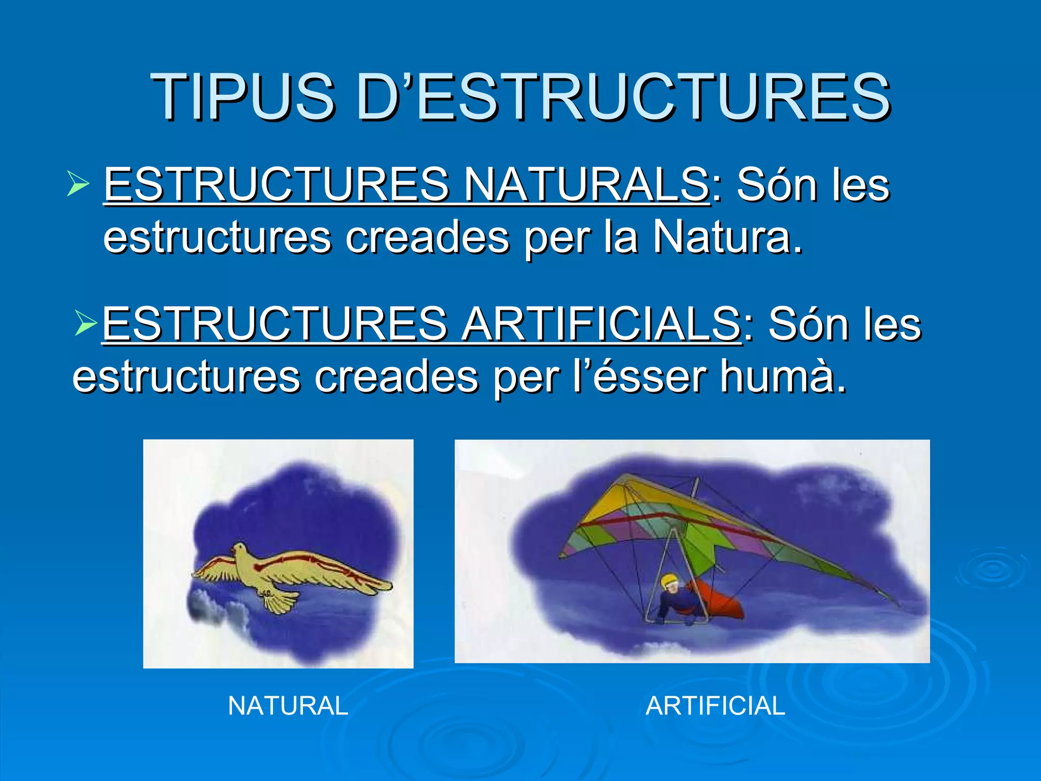 TIPUS D’ESTRUCTURES ESTRUCTURES NATURALS : Són les estructures creades per la Natura. ESTRUCTURES ARTIFICIALS : Són les estructures creades per l’ésser humà. NATURAL ARTIFICIAL 