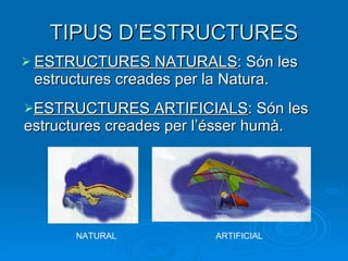 TIPUS D’ESTRUCTURES ESTRUCTURES NATURALS : Són les estructures creades per la Natura. ESTRUCTURES ARTIFICIALS : Són les estructures creades per l’ésser humà. NATURAL ARTIFICIAL 