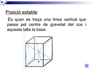 Posició estable És quan es traça una línea vertical que passe pel centre de gravetat del cos i aquesta talla la base.  