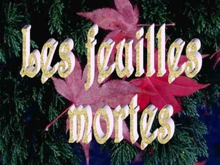 Les feuilles mortes 