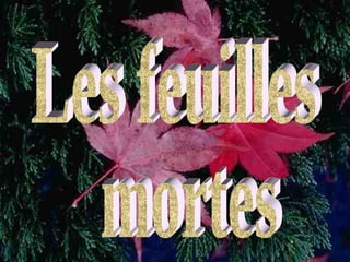 Les feuilles mortes 