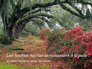 Les feuilles mortes se ramassent à la pelle As folhas mortas se juntam aos montes . 