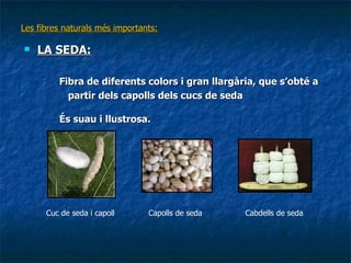 Les fibres naturals més importants: LA SEDA: Fibra de diferents colors i gran llargària, que s’obté a partir dels capolls dels cucs de seda És suau i llustrosa. Cuc de seda i capoll Capolls de seda Cabdells de seda 