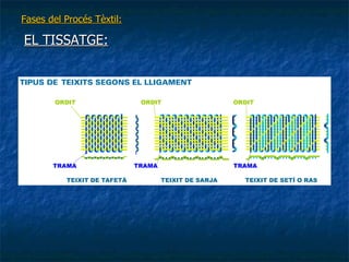 Fases del Procés Tèxtil: EL TISSATGE: 