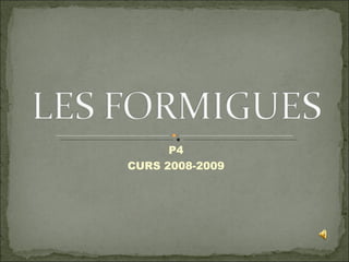 P4 CURS 2008-2009 