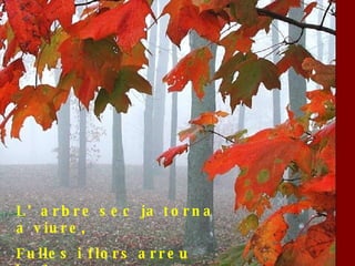 L’arbre sec ja torna a viure, Fulles i flors arreu badant; 