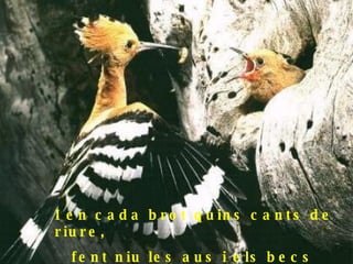 I en cada brot quins cants de riure, fent niu les aus i els becs juntant 