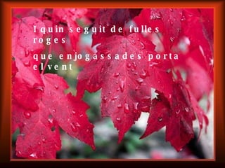 I quin seguit de fulles roges que enjogassades porta el vent 