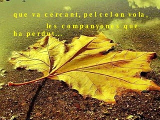 que va cercant, pel cel on vola, les companyones que ha perdut... 