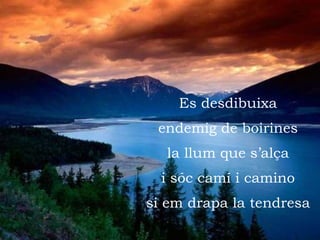 Es desdibuixa endemig de boirines la llum que s’alça i sóc camí i camino si em drapa la tendresa 