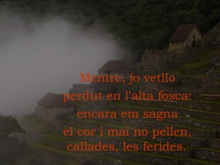 Mentre, jo vetllo perdut en l'alta fosca: encara em sagna el cor i mai no pellen, callades, les ferides.   
