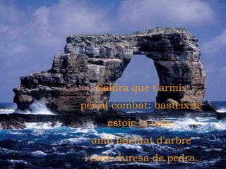 Caldrà que t'armis per al combat: basteix-te estoic la vida: amb fidelitat d'arbre i amb duresa de pedra. 