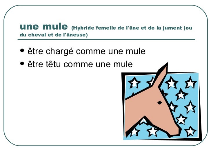 Les métaphores animales