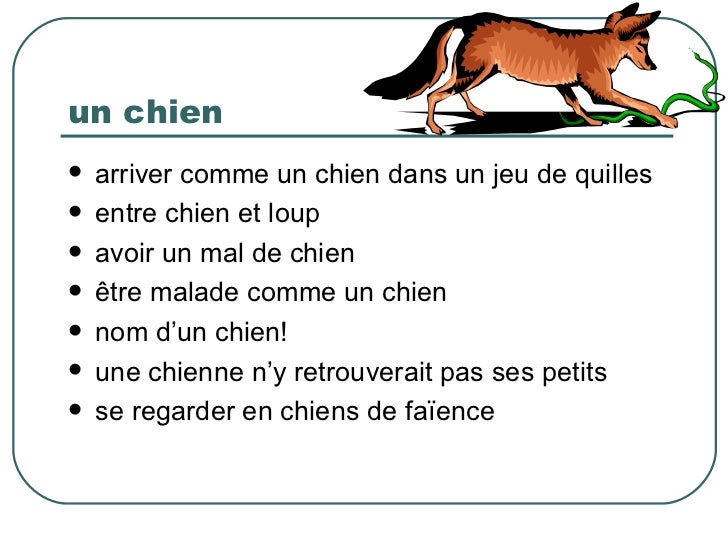 Les Métaphores Animales