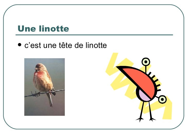 Téléchargement gratuit Images Les Metaphores Animales dernière salutations
