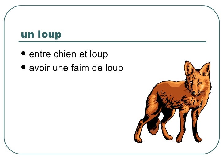 Les Métaphores Animales