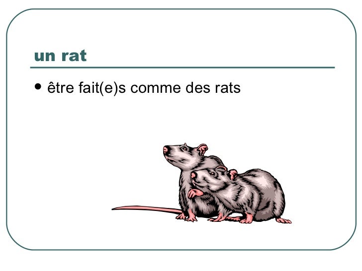 Scarica Gratis Images Les Metaphores Animales dernière salutations