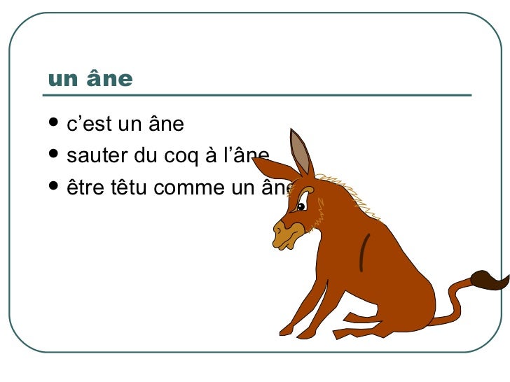 Les métaphores animales
