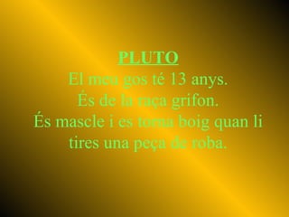 PLUTO El meu gos té 13 anys. És de la raça grifon. És mascle i es torna boig quan li tires una peça de roba. 