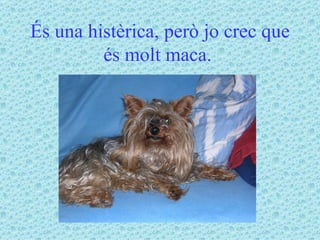 És una histèrica, però jo crec que és molt maca.   