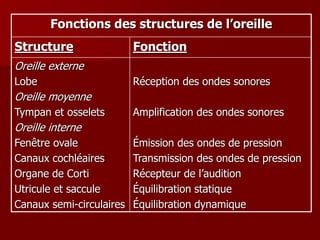 Fonctions des structures de l’oreille
Structure Fonction
Oreille externe
Lobe
Oreille moyenne
Tympan et osselets
Oreille interne
Fenêtre ovale
Canaux cochléaires
Organe de Corti
Utricule et saccule
Canaux semi-circulaires
Réception des ondes sonores
Amplification des ondes sonores
Émission des ondes de pression
Transmission des ondes de pression
Récepteur de l’audition
Équilibration statique
Équilibration dynamique
 